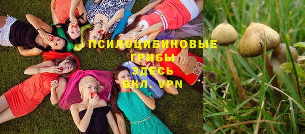 ПСИЛОЦИБИНОВЫЕ ГРИБЫ Михайлов