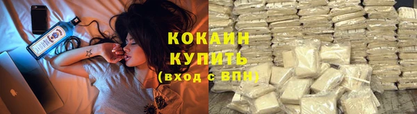 индика Михайловск