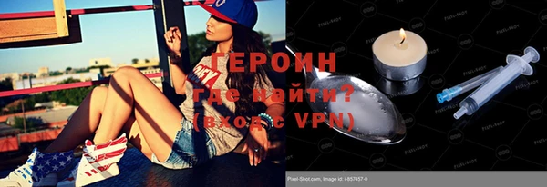 индика Михайловск