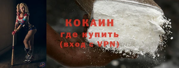 дживик Надым