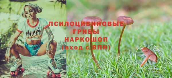 ПСИЛОЦИБИНОВЫЕ ГРИБЫ Михайлов