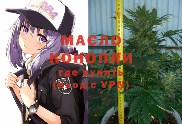 ПСИЛОЦИБИНОВЫЕ ГРИБЫ Михайлов