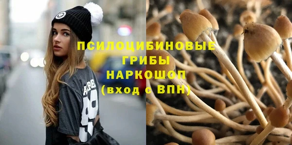 ПСИЛОЦИБИНОВЫЕ ГРИБЫ Михайлов