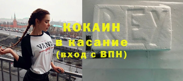 индика Михайловск