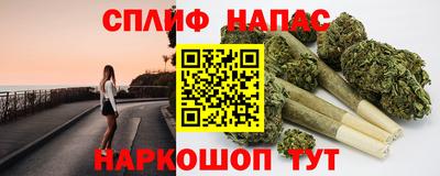 дмт Аргун
