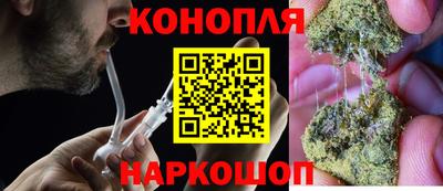 дмт Аргун