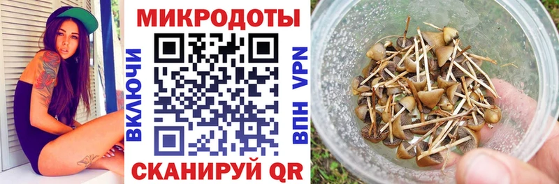Галлюциногенные грибы мицелий Ахтубинск
