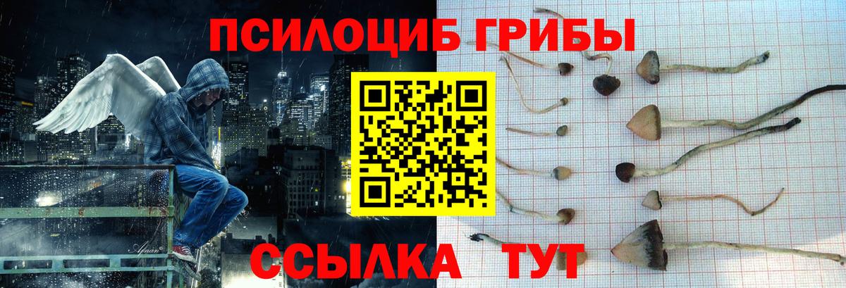 Псилоцибиновые грибы прущие грибы Ахтубинск