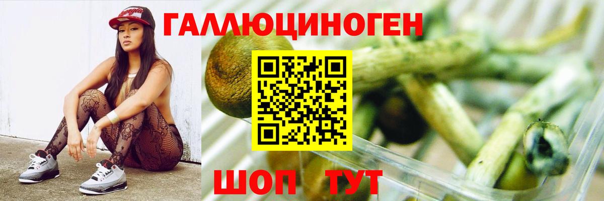 Галлюциногенные грибы Psilocybe  где найти   Галлюциногенные грибы GOLDEN TEACHER  Ахтубинск  Вход с VPN 