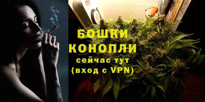гидра ссылка  купить закладку  Ахтубинск  Шишки марихуана OG Kush 